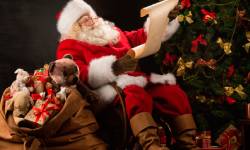 Звуки Санта-Клауса — скачать бесплатно и слушать онлайн