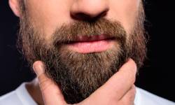 Звуки бороды — скачать бесплатно и слушать онлайн