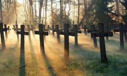 Звуки кладбища: страшные, ночью — скачать бесплатно и слушать онлайн