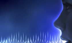 Звуковые эффекты разных форм жизни — скачать бесплатно и слушать онлайн