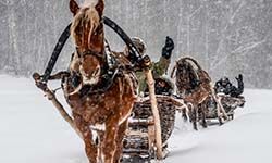Звуки Зимних саней с лошадьми — скачать бесплатно и слушать онлайн